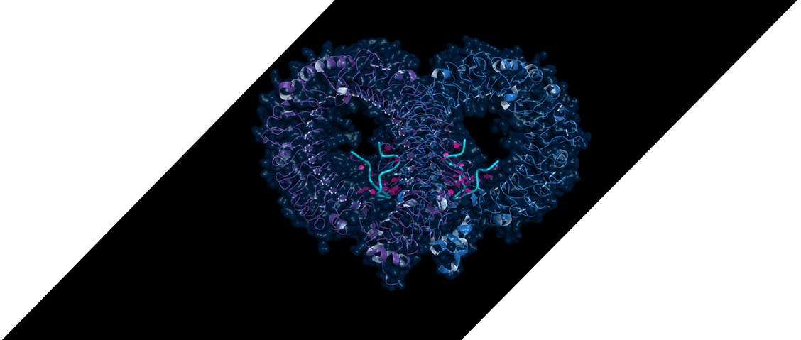 Pipeline molecule close-up