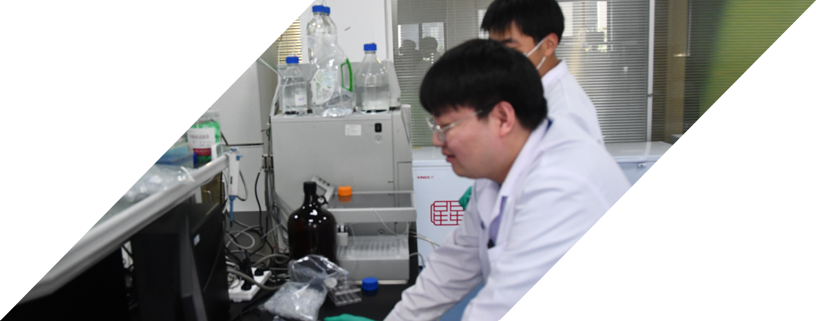 Two male scientists working at lab bench